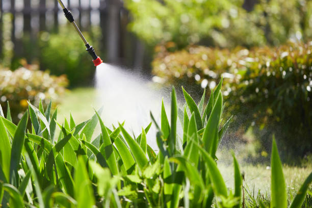 24/7 Emergency Ant Control experts in New Miami, OH