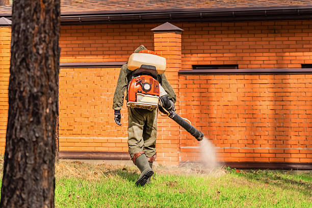Trusted Bed Bug Control service in New Miami, OH - Nex Pest Control